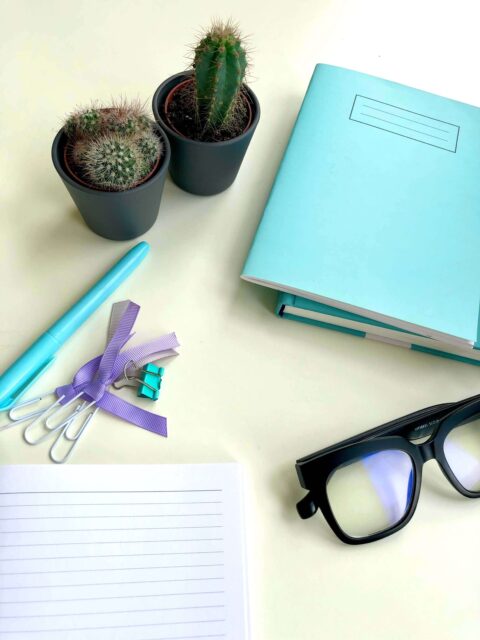 A collection of items you might find on a desk, a blue pen, an open notebook, a couple of purple paperclips, a stack of blue notebooks, two mini cacti, and a pair of chunky glasses, all on a white table top.